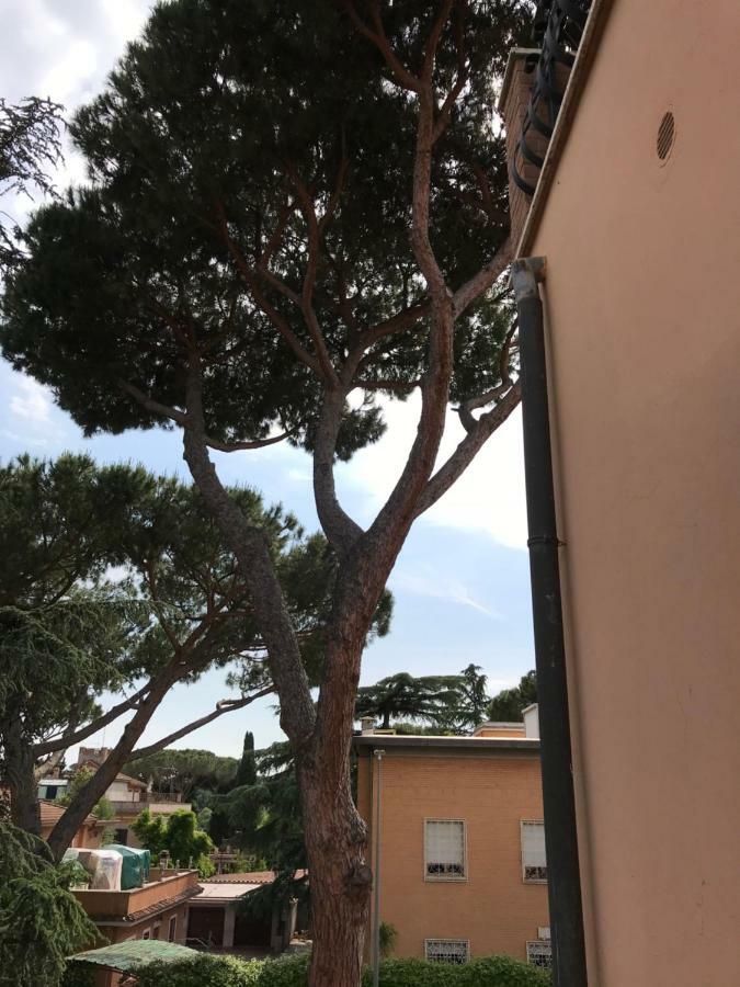 Agli Acquedotti Romani Εξωτερικό φωτογραφία